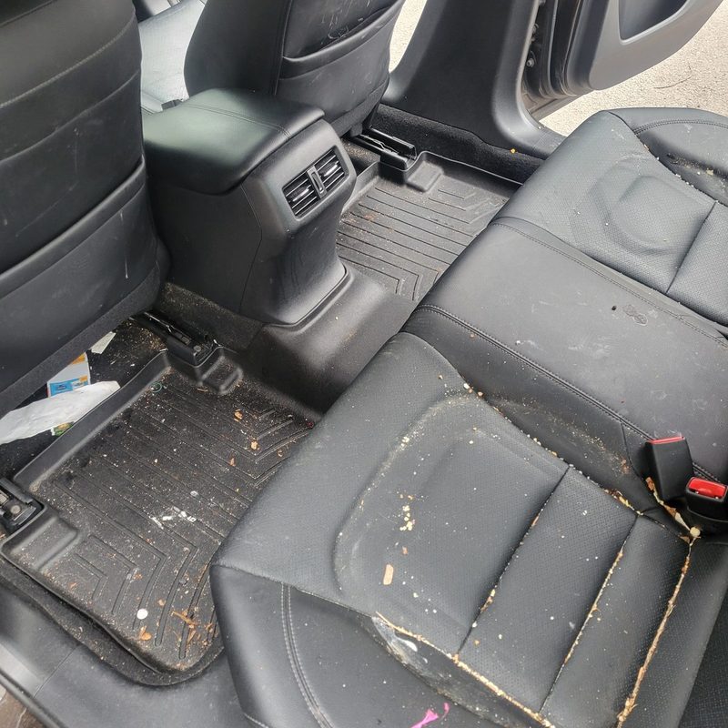 Rear leather seat covered in crumbs and debris before an interior reset